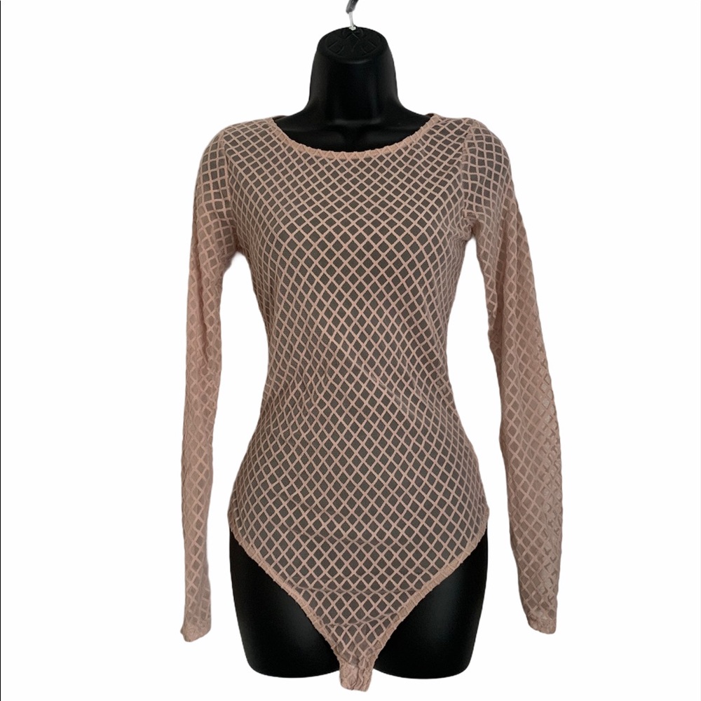 Light Mauve Velvet Mesh Bodysuit